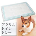 We'll introduce recommended dog food for each life stage!