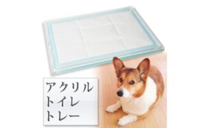 We'll introduce recommended dog food for each life stage!