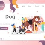 [Free] 5 dog foods you can try! Depending on your dog's growth and preferences