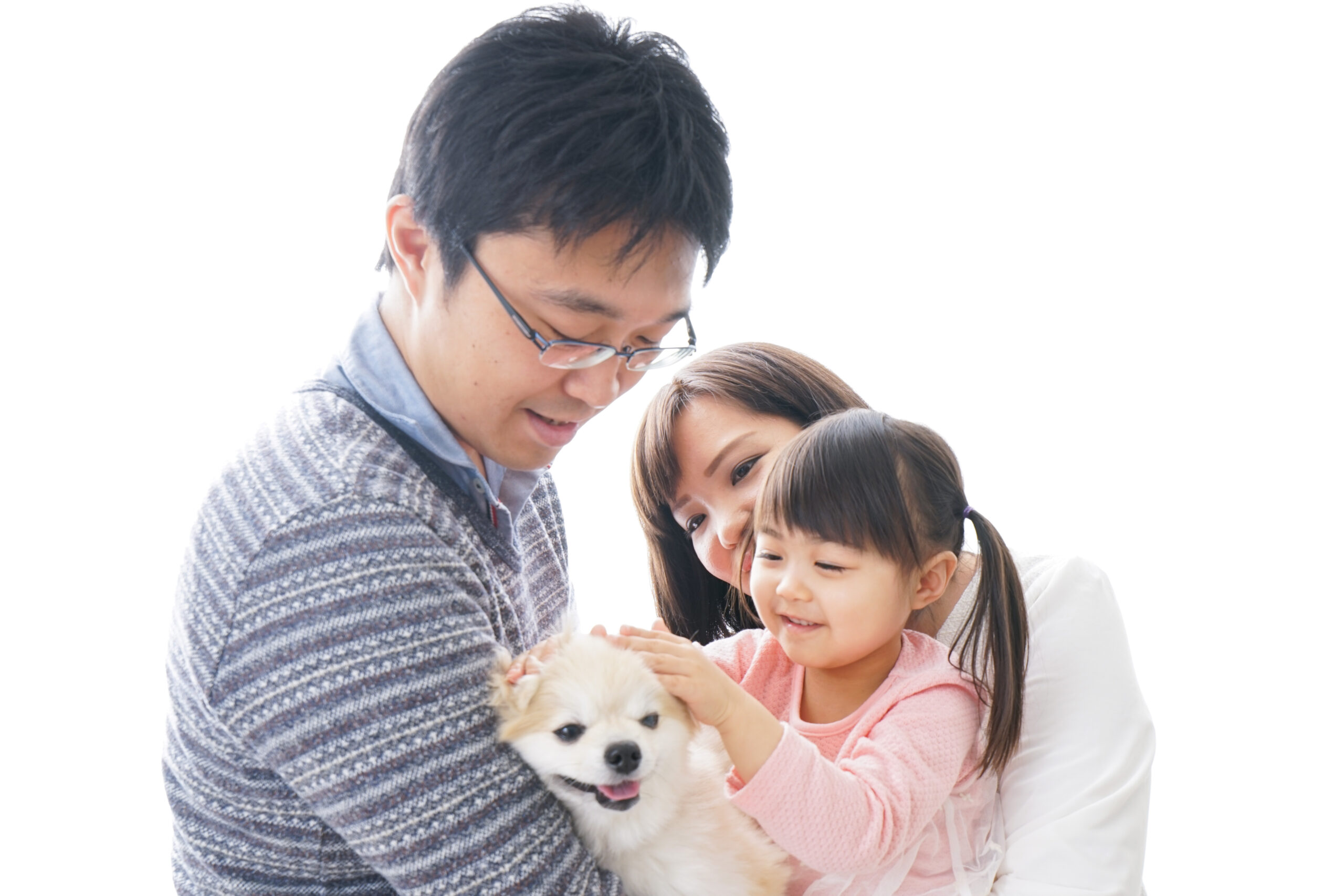 How to deal with your dog after neutering surgery