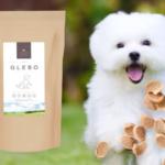 Healthy and delicious! 3 recommended Japanese dog foods for your beloved dog!