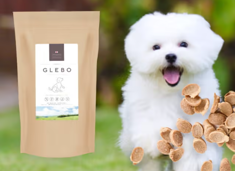 Healthy and delicious! 3 recommended Japanese dog foods for your beloved dog!