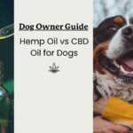 【dogscats】 DogsCats Dog and Cat Allergies: Simple Guide for Owners