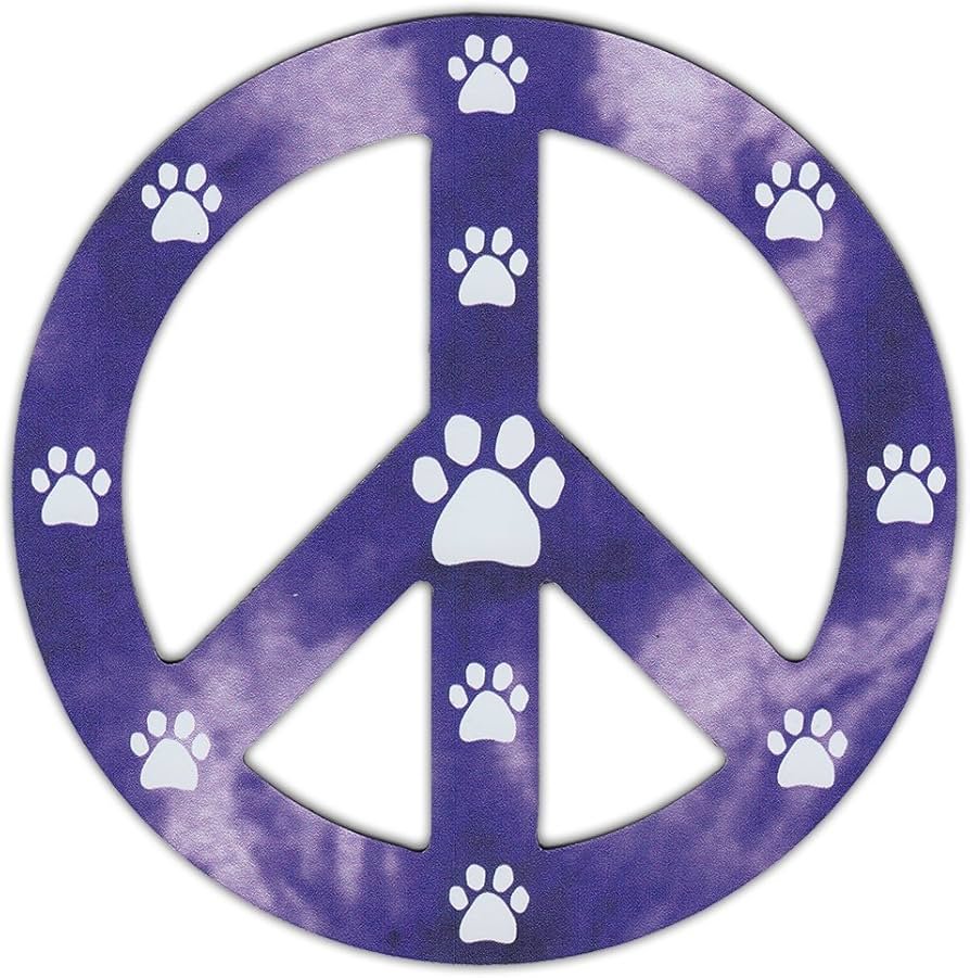 Summary: A Peaceful Dog–Cat Home Is Possible