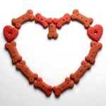 Real Dog Food Customer Reviews: 7 Trusted Picks for 2024