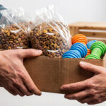 How to Donate Dog Food: 7 Simple Ways to Help Shelters