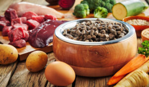 Natural Dog Food Guide: How to Choose Healthier Dog Food