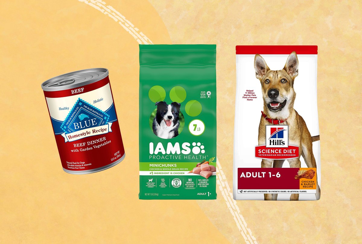 Dog Food Reviews 2024: 9 Best Dog Foods Vets Trust