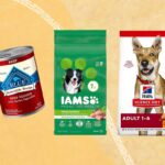Dog Food Comparison 2024: 7 Steps to Pick the Best