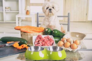 Dog Food: How to Choose Dog Food Your Vet Approves