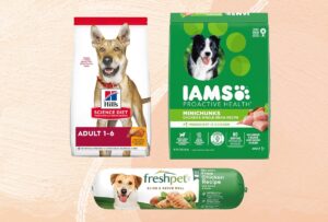 Real Dog Food Customer Reviews: 7 Trusted Picks for 2024