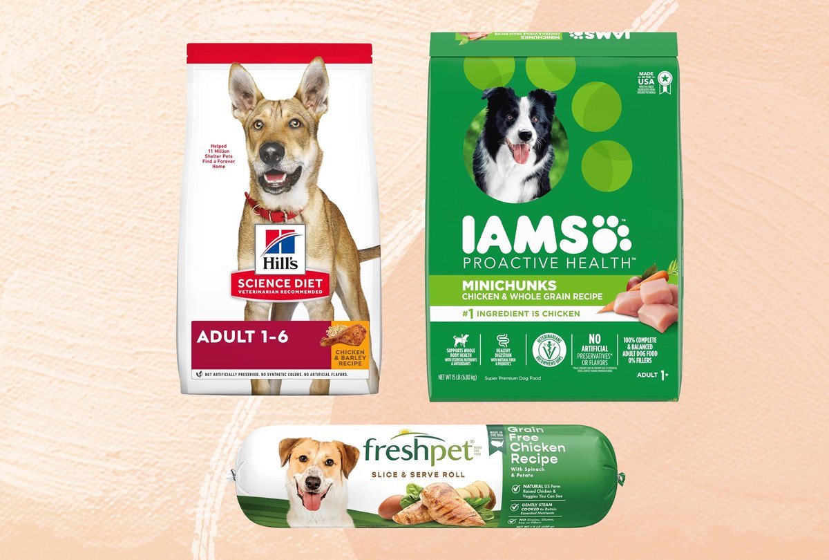 Real Dog Food Customer Reviews: 7 Trusted Picks for 2024