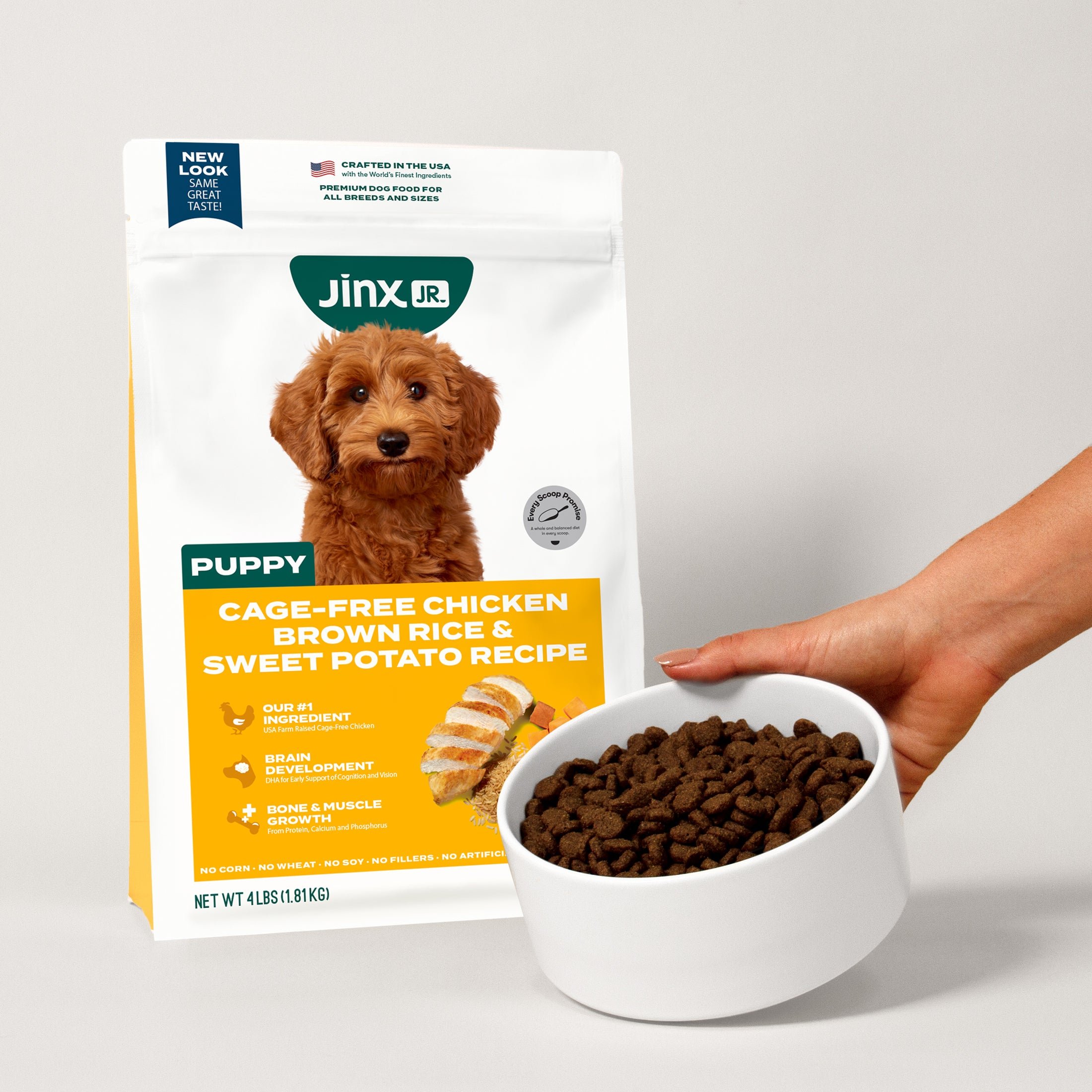 How to Read Dog Food Customer Reviews