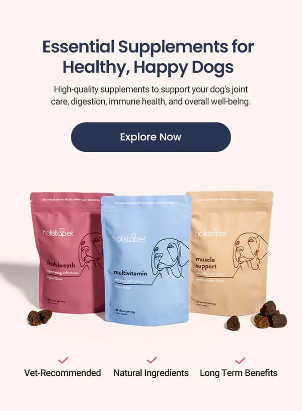 Health Benefits of Mogwan Dog Food