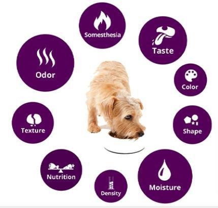 Kibble Size, Taste, and Palatability