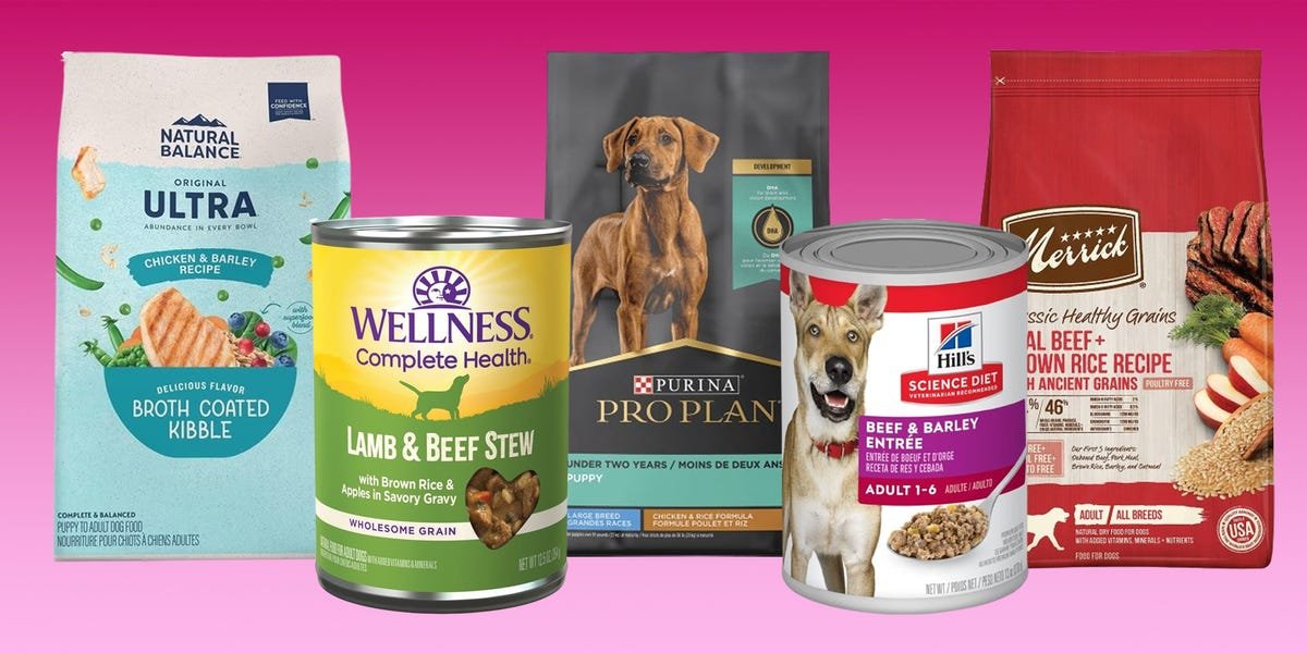 Overview: 7 Top Rated Dog Foods 2024