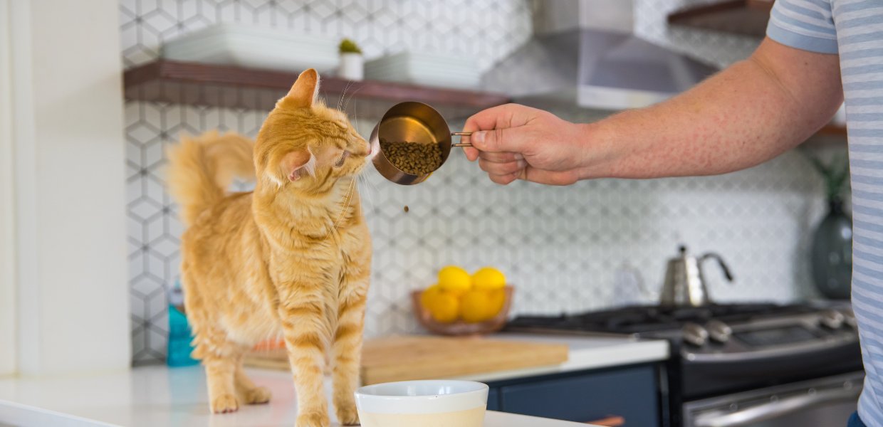 Common mistakes to avoid