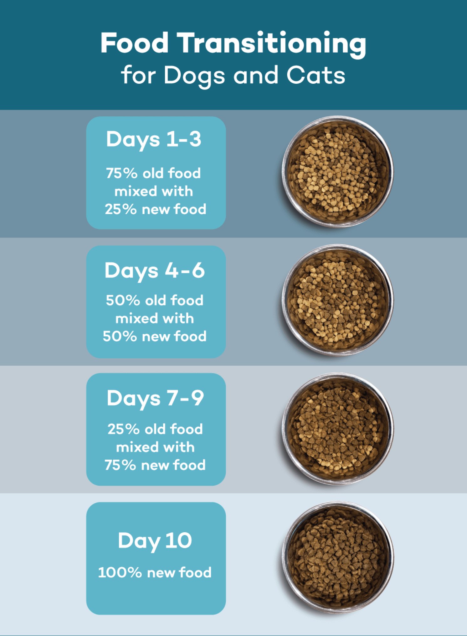 Transitioning to Natural Dog Food