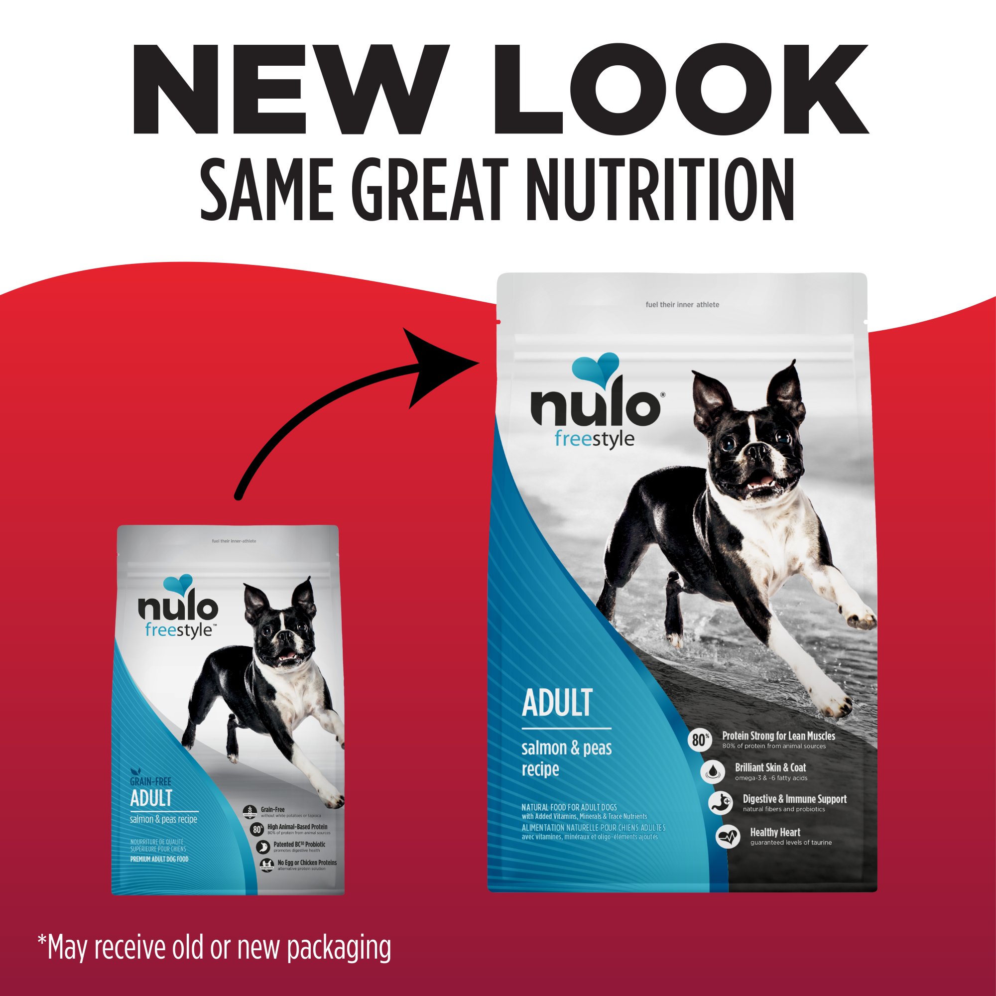Brand 7: High‑Protein Grain‑Free Kibble