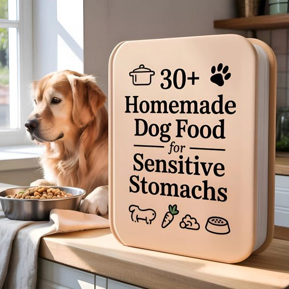 When and How to Involve Your Vet