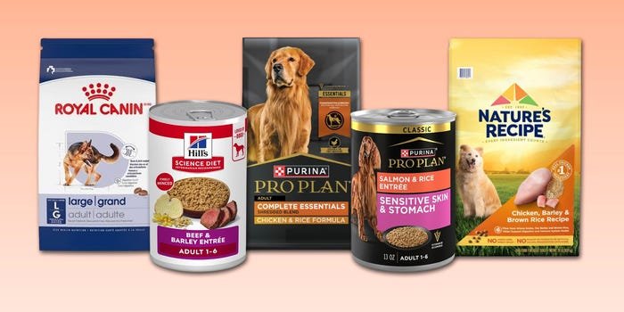 When to Talk to Your Vet or Nutritionist