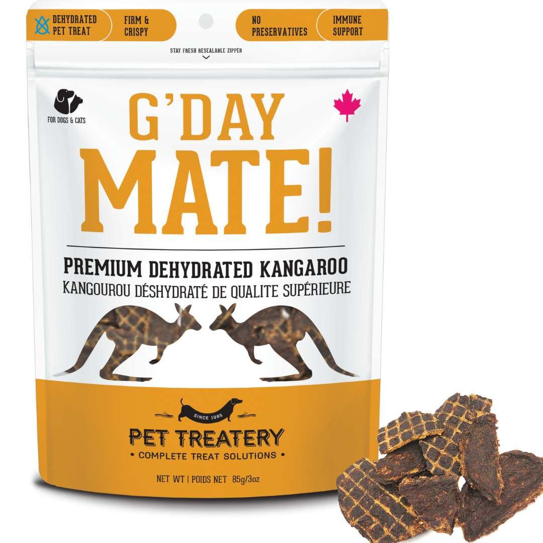 Why dogs try to mate with cats