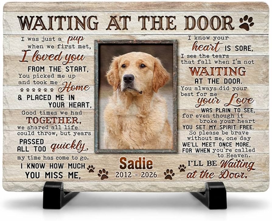 Recommended pet anime for gentle viewing