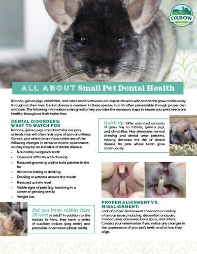 Other Signs to Watch Alongside Hunching