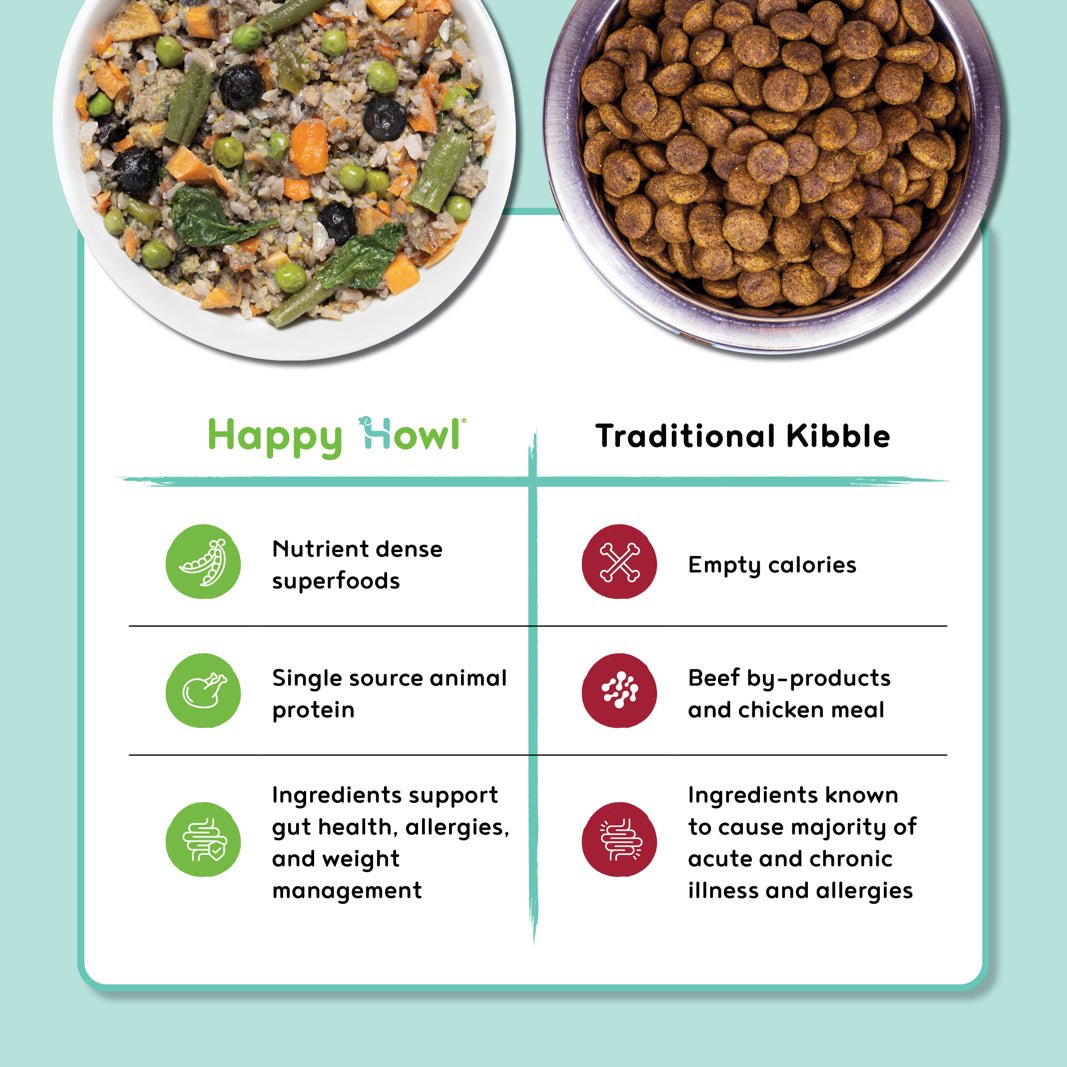 Dog Food Related Illnesses in Humans