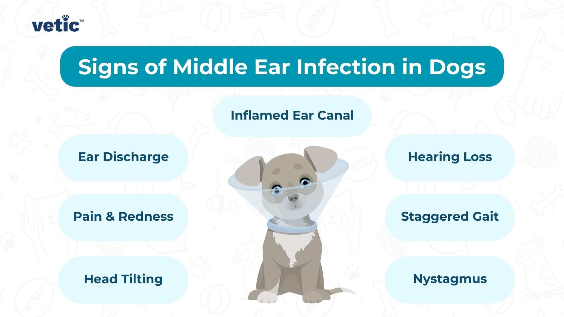 7 Warning Signs of Dog Ear Disease