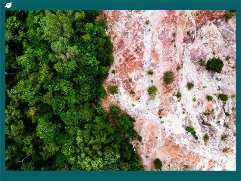 Wider Impacts: Overpopulation and Stress