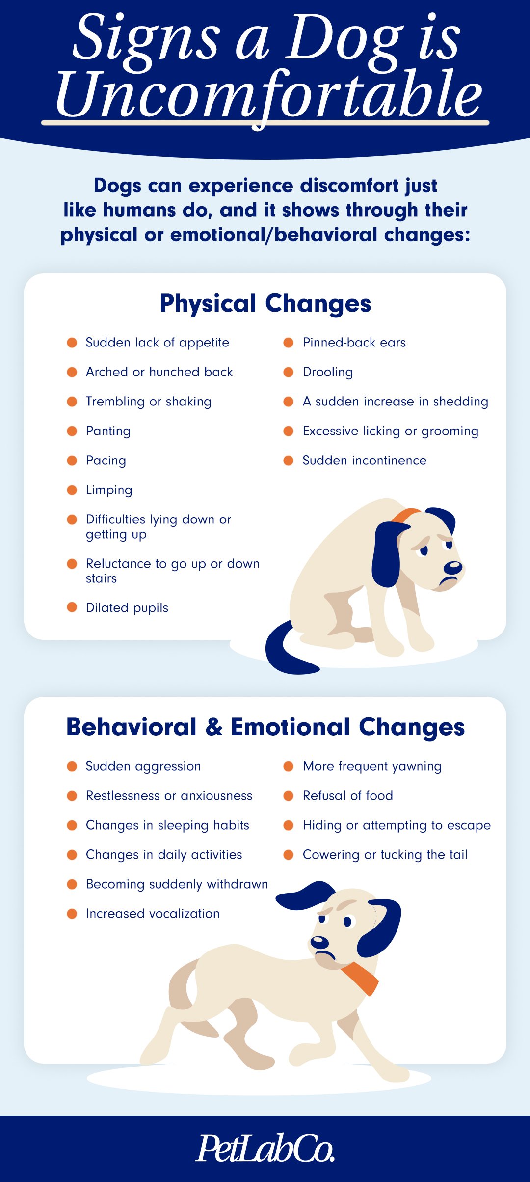 Treatment Options for a Hunched Back Dog