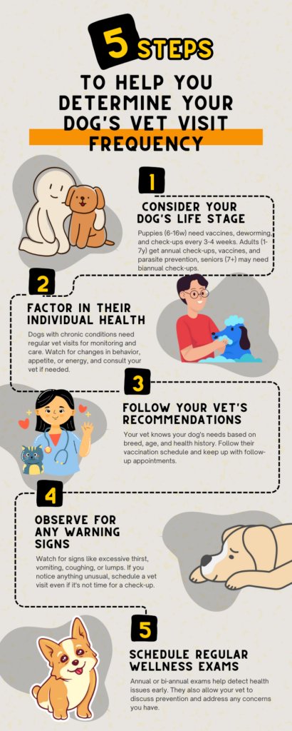 When Your Dog Needs a Vet Visit