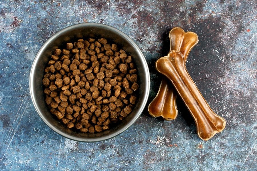 How to Decide What’s Best for Your Dog