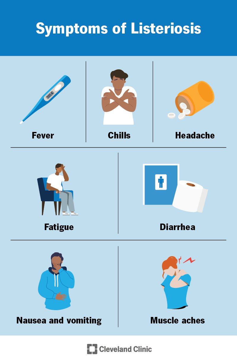 What to Do If You Suspect Food Is Making Your Dog Ill