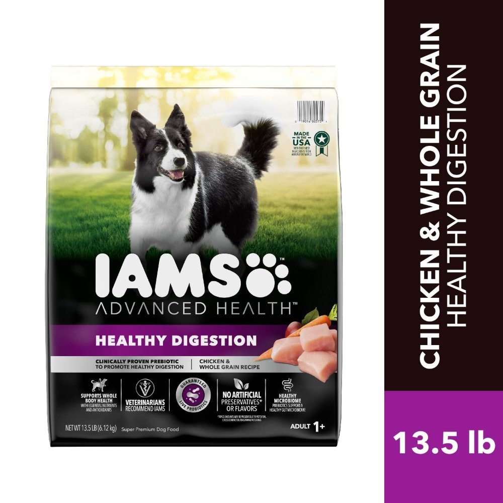 Keeping Your Dog Healthy at Mealtime