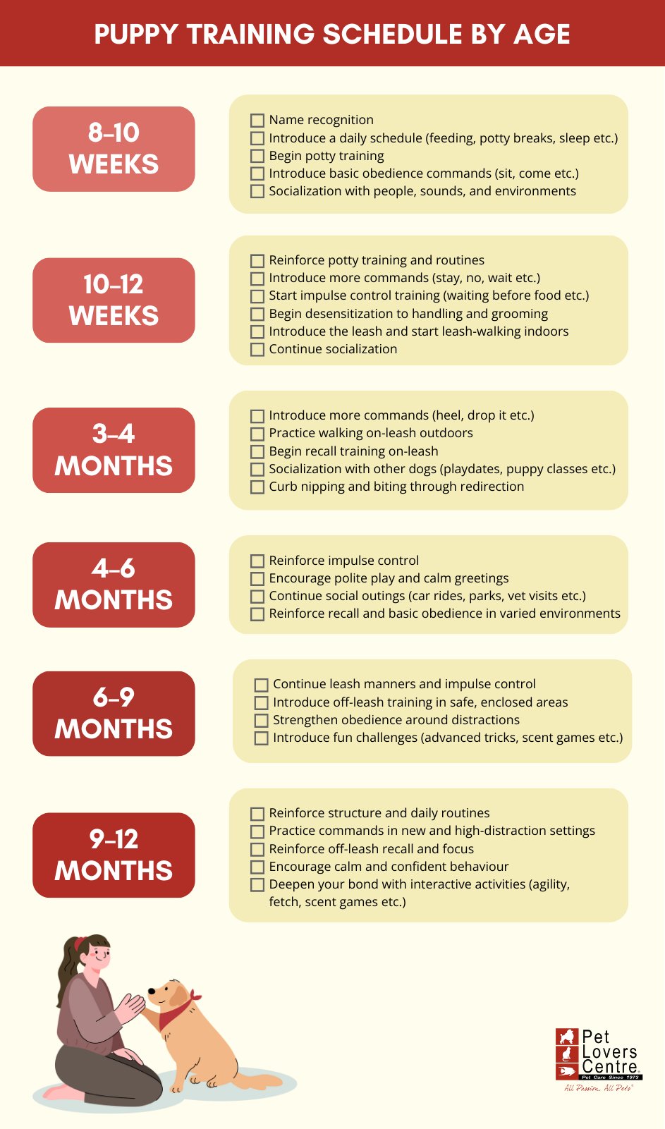 Puppy Training: When to Start Training a Puppy (Age Guide)