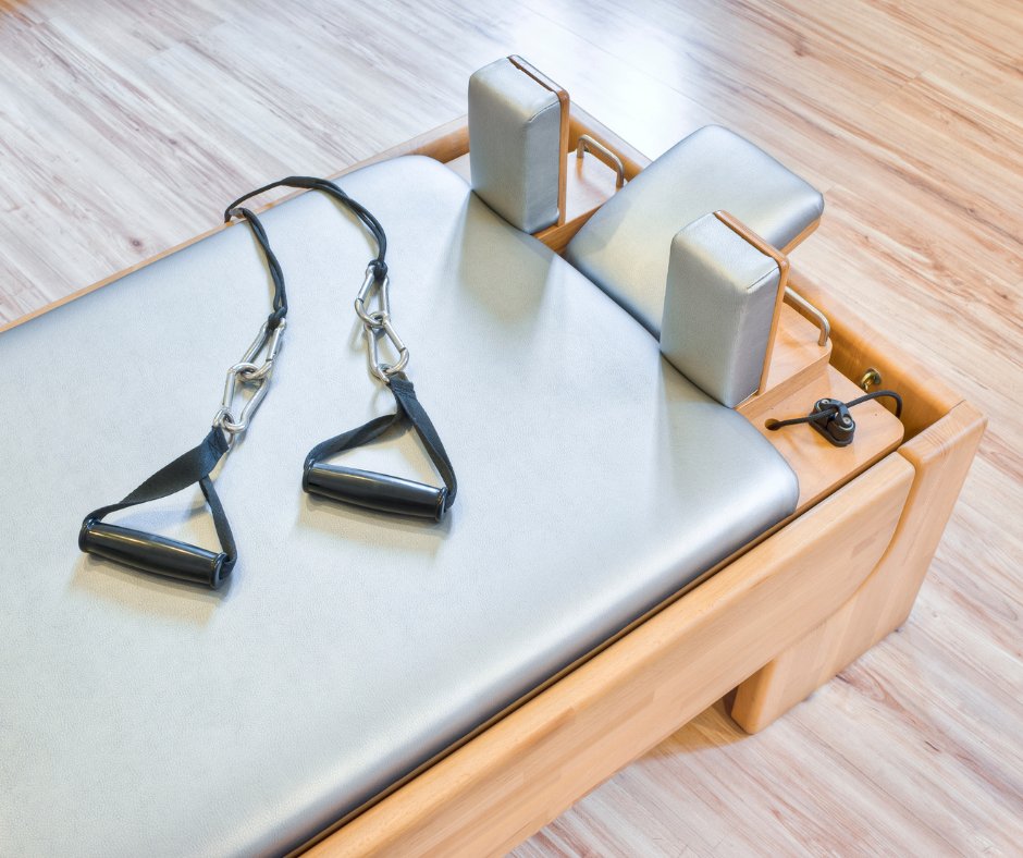 Puppy development stages and learning ability