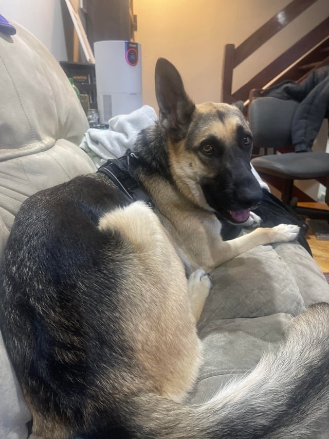 Step1 安全で落ち着けるトイレ環境を整える