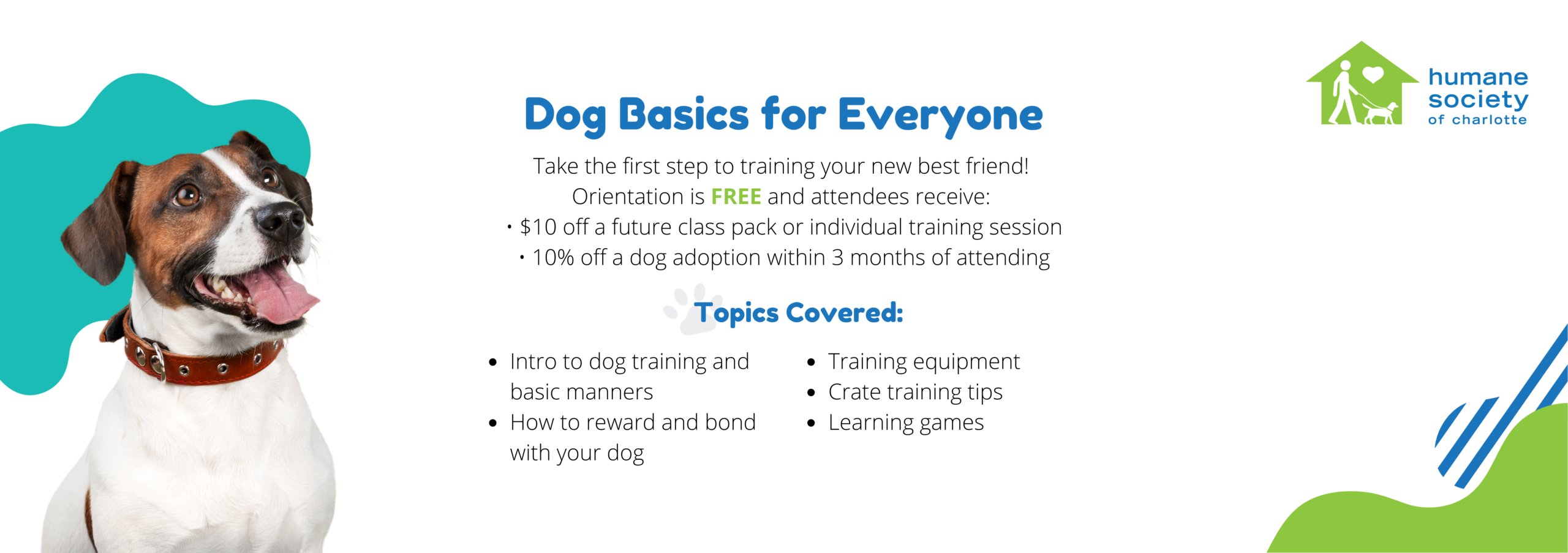 Core training topics every puppy should learn