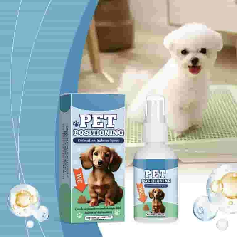 Teaching specific behaviors: dog vs cat