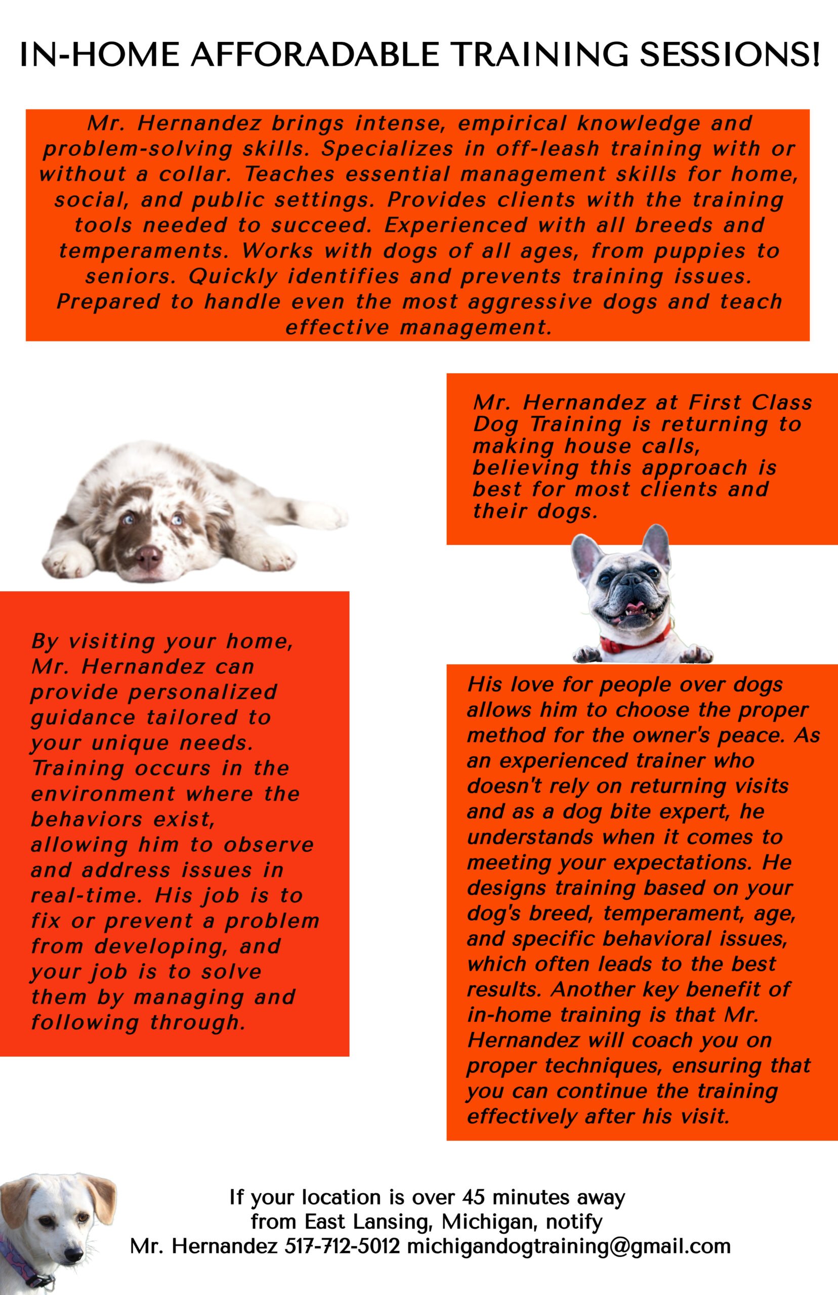 Preparing your dog for their first class