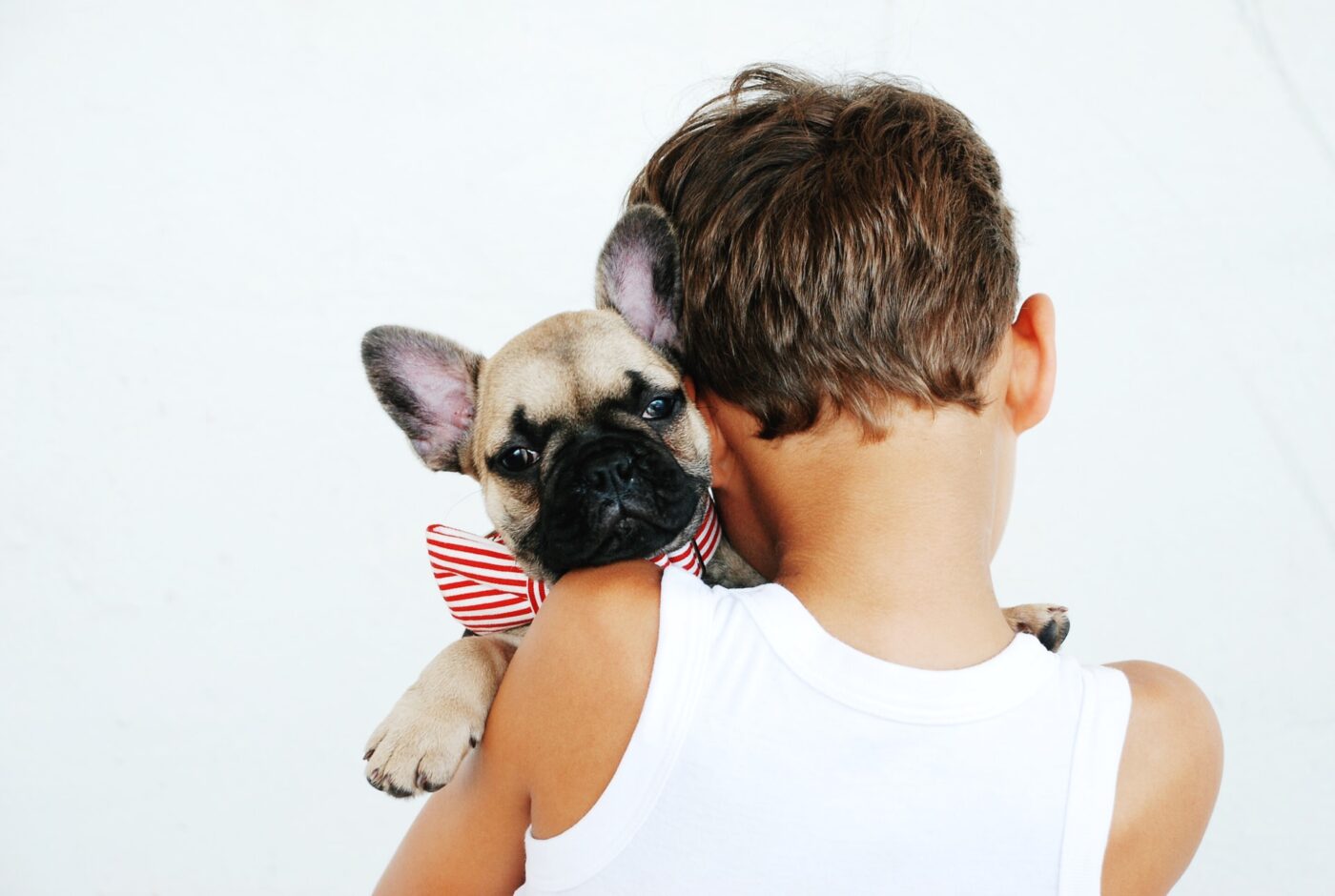 Dog Allergies in Kids: Health Risks & 7 Easy Fixes