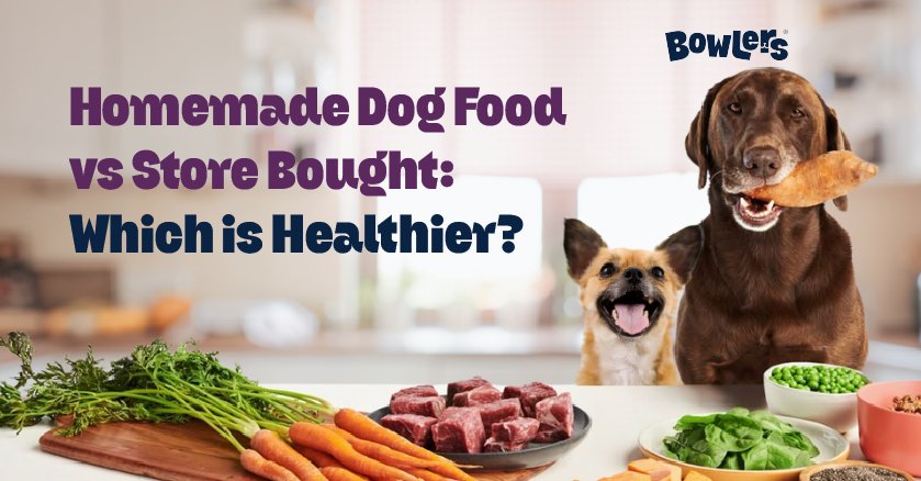 Homemade vs. Store-Bought Allergy Diets