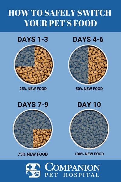 Transitioning to a New Food Safely