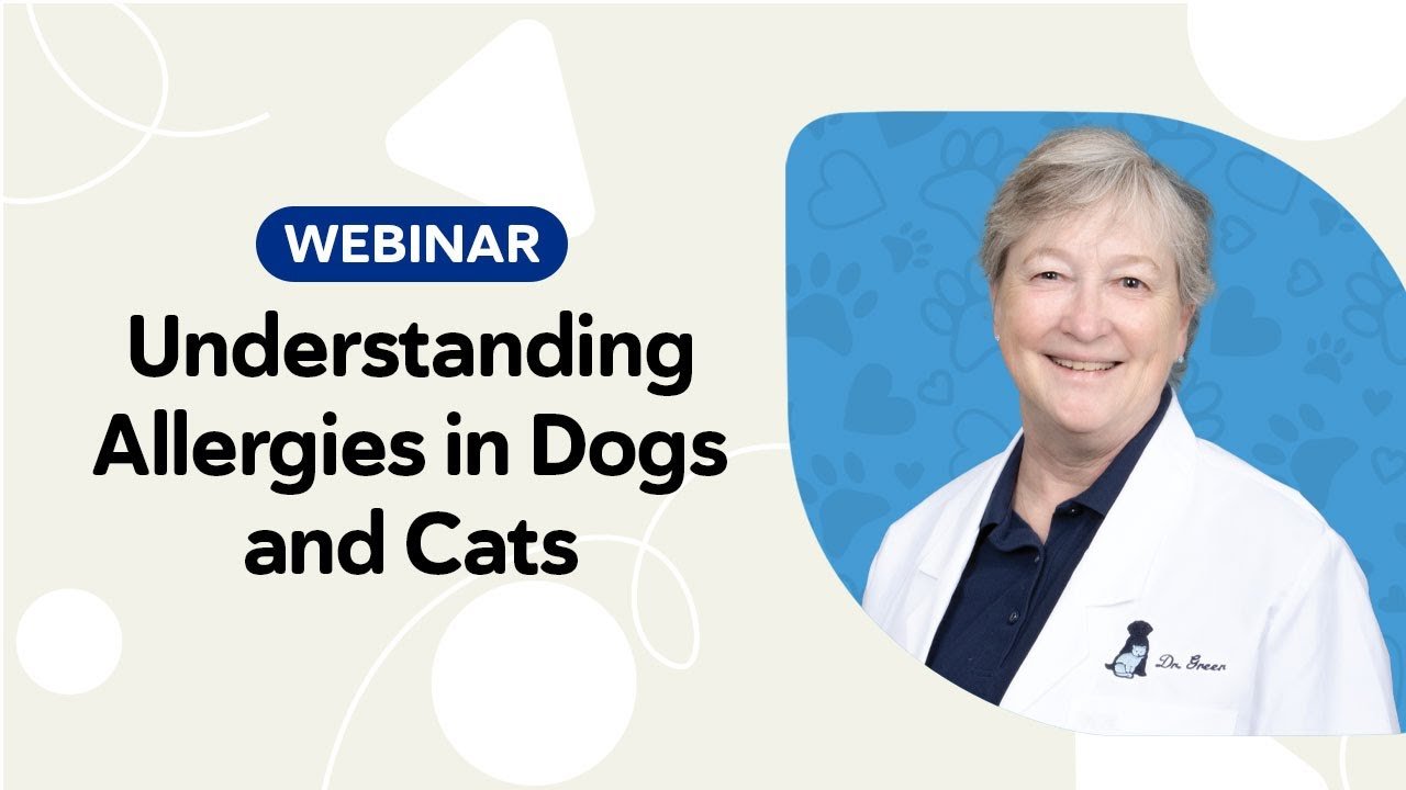 Understanding Allergies in Dogs