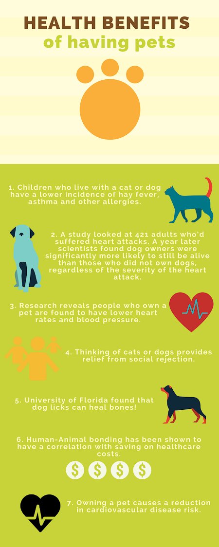 Health Risks of Dog Allergies in Kids