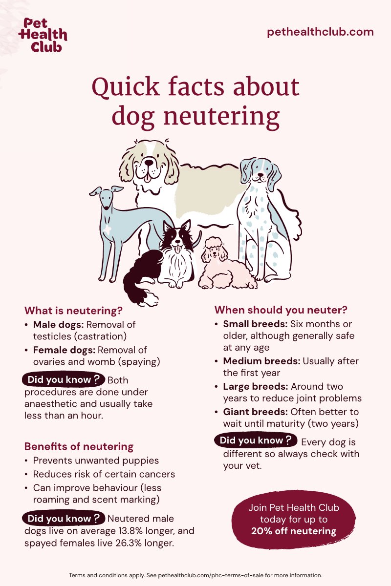 Health benefits of neutering your dog