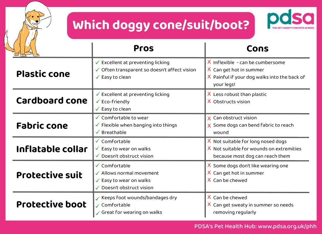 How Long Should a Dog Keep the Cone On?