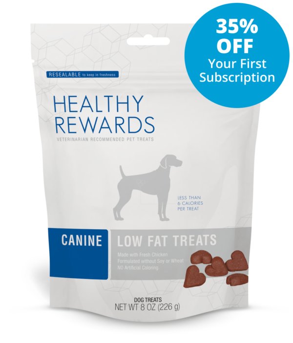 Health and Hypoallergenic Breeds